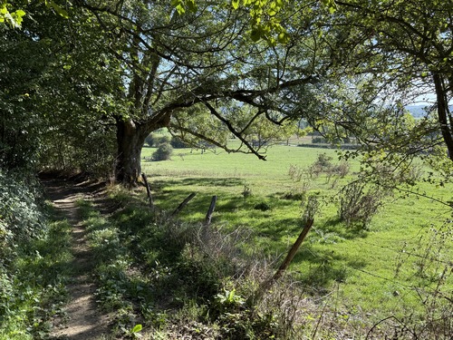 Descente vers la vallée de la Risle, avec de beaux points de vue sur la vallée.