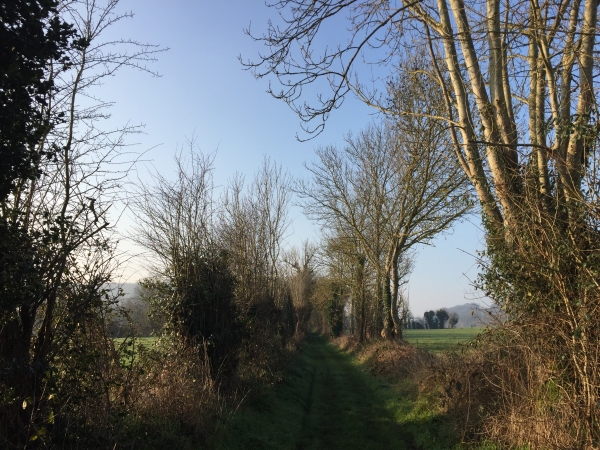 Condé-sur-Risle, chemin parallèle au ruisseau St-Christophe.