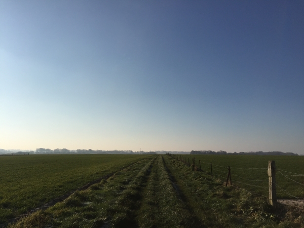 St-Pierre-en-Port, nous partons en direction du Bois Boulais par la Plaine de Bilboto.