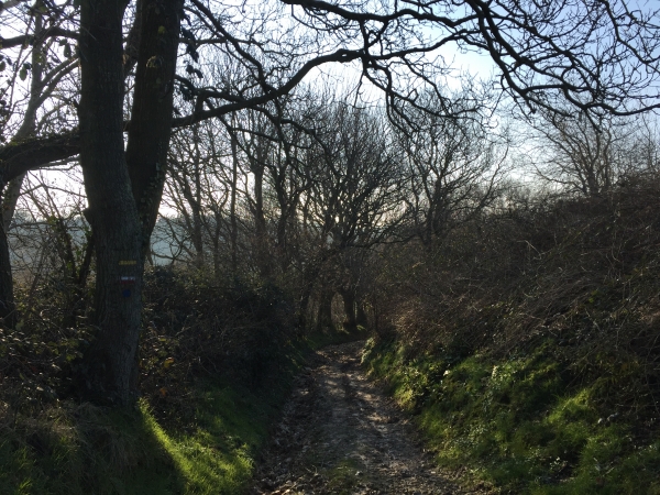 Descente dans le Bois Boulais.
