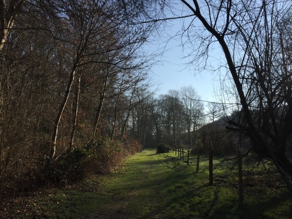 Sassetot-le-Mauconduit, Fonds du Hêtre.