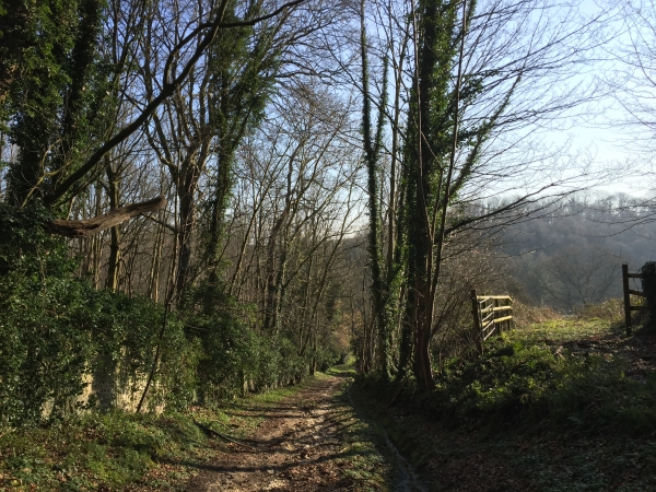 Sassetot-le-Mauconduit, chemin du Pas-Glissant.
