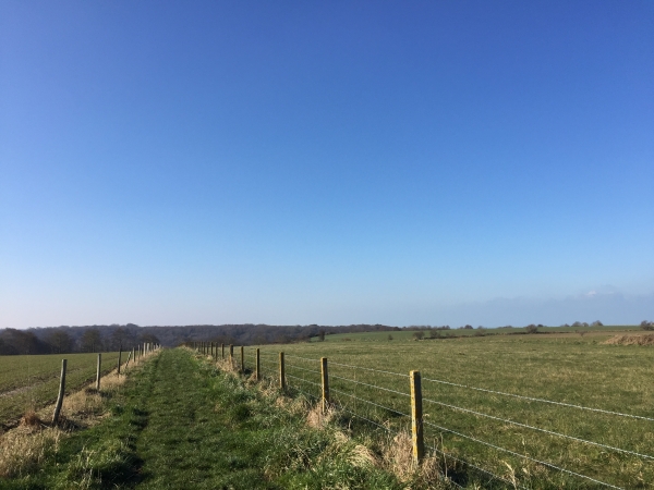 St-Martin-aux-Buneaux, chemin des Batisses.