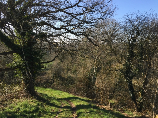 Les Petites-Dalles, chemin de Belle-Vue.