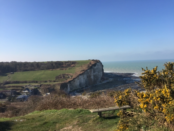 Sentier des Douaniers, panorama sur les Grandes-Dalles.