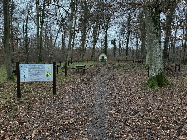Je pars de la maison forestière des Landes, et je rejoins la chapelle Saint-Maur, construite en 1880 sur un ancien prieuré du XIe siècle. Les arbres autour de la chapelle perpétuent la tradition des arbres à nœuds votifs.