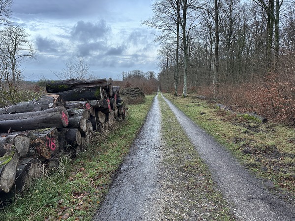 Je prends la direction de la Mare Tonne.