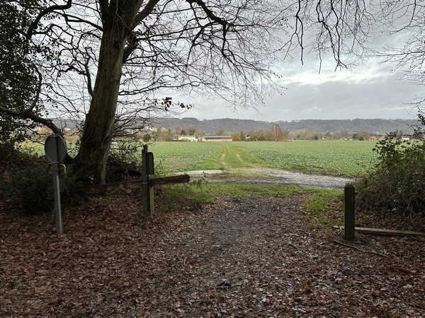 Je sors de la forêt et continue en face vers Vatteville.