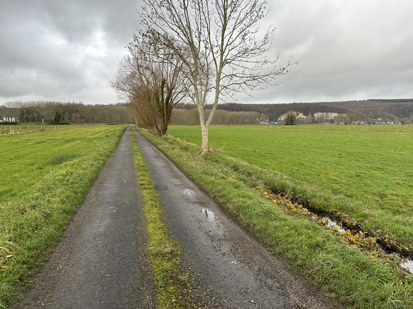 Je passe devant la fameuse Maison François 1er (voir l'album de la rando), et continue en direction de la Seine.