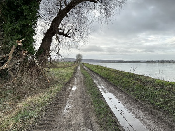 C'est un des plaisirs de ce circuit que de combiner la marche en forêt avec ce bord de Seine.&nbsp;