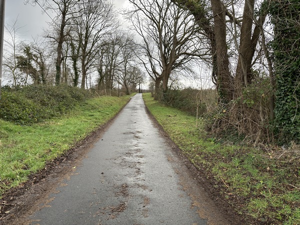 Je prends le Chemin de la Coutume, charmante petite route sans voiture, pour rejoindre la forêt.