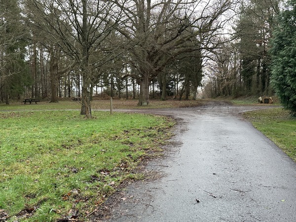 A proximité de la maison forestière de la Coutume se trouve une belle aire de pique-nique.
