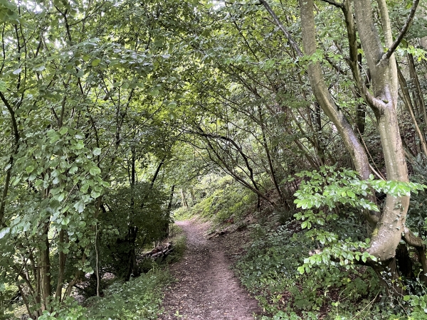 Nous suivons maintenant le GR2 pour descendre vers le bourg de Villequier.