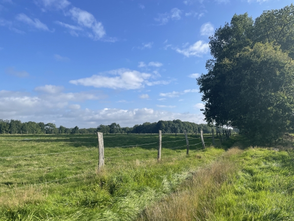 Nous traversons la plaine entre la Grenouillère et la Grenouille.