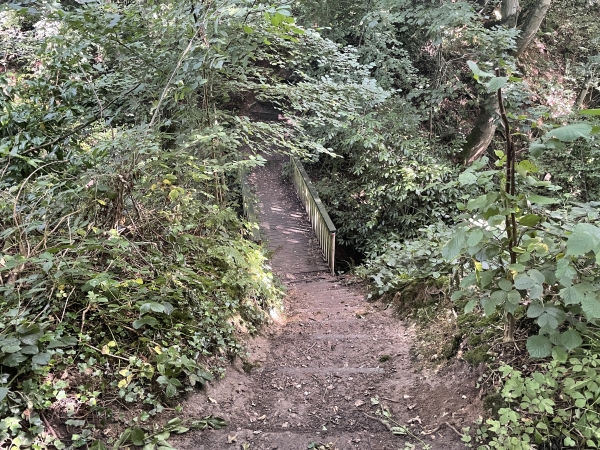 Nous restons en forêt, et traversons les fossés des eaux de ruissellement.