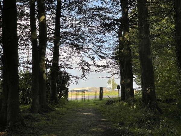 Nous sortons de la forêt à quelque pas des voitures. Pas d'inquiétude pour la barrière, la forêt est une propriété du département, et aménagée pour l'accueil du public.