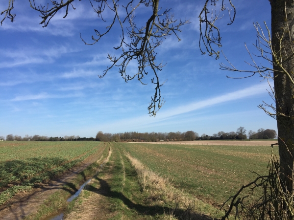 Nous revenons à Bosc-Edeline par le chemin des Trois Cornets.