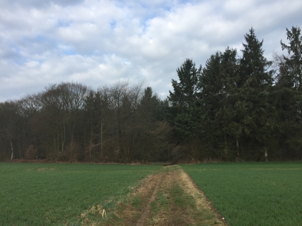 Nous partons de Fleury-la-Forêt, et marchons vers l'ouest en direction de la forêt domaniale de Lyons.
