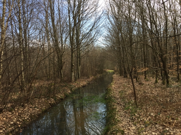 Le chemin est ici totalement inondé, mais le passage à droite du chemin nous laisse au sec.