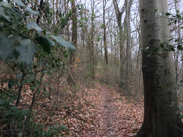 Nous montons vers le hameau du Génétey.