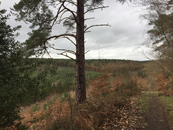Nous suivons quelque temps le GR2, en veillant à rester sur des chemins bien tracés en raison de la pluie qui a commencé à tomber.