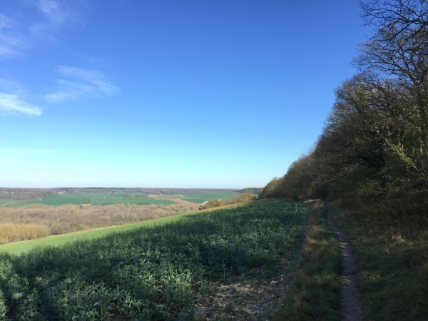 Nous longeons maintenant la forêt régionale de la Roche-Guyon. Notre chemin domine la vallée de l'Epte.