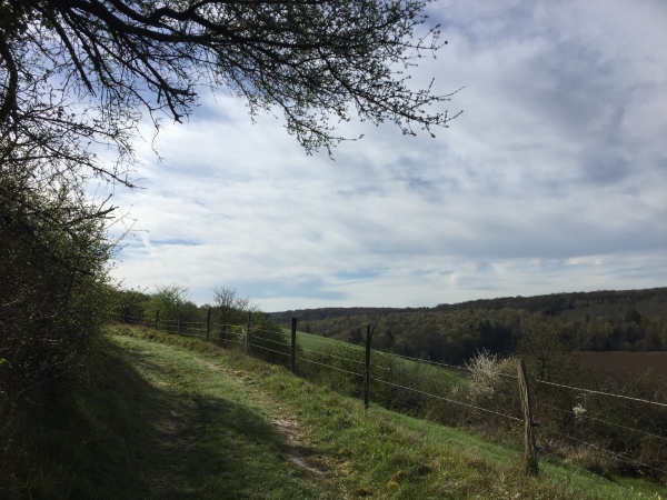 La Côte aux Chiens, au-dessus d'Amenucourt.
