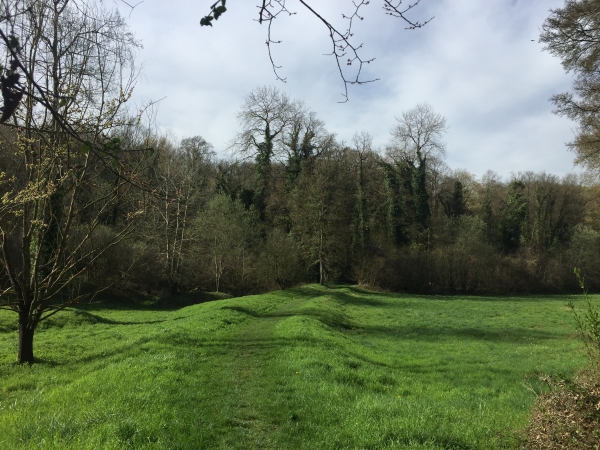Nous sommes revenus en forêt régionale de la Roche-Guyon, nous traversons ici le vallon des Coutumes.