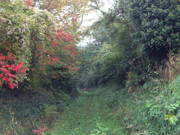 Nous Sortons d'Envermeu par la Cavée de Bray qui monte en direction du hameau de Bray.