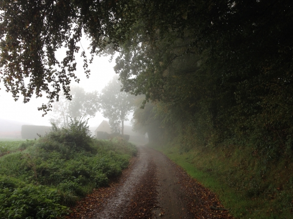 Nous voilà arrivés à Bray, sur le plateau au nord de la vallée du Bailly Bec.