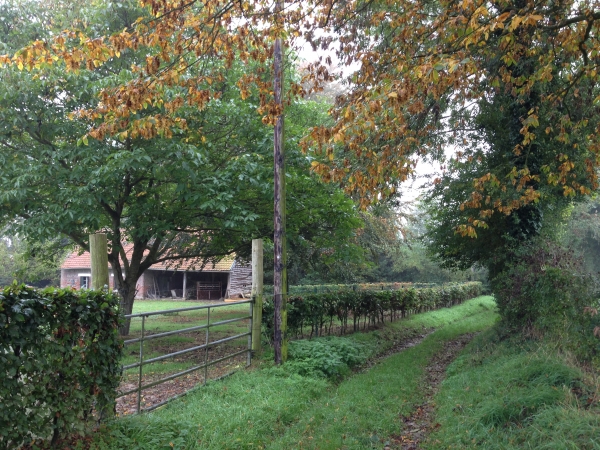Nous avons traversé la Plaine du Chemin de St-Ouen et arrivons au hameau de Brétigny.