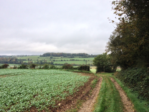 Après avoir traversé Bailly-en-Rivière, nous remontons sur le plateau sud. Regard arrière sur la vallée.