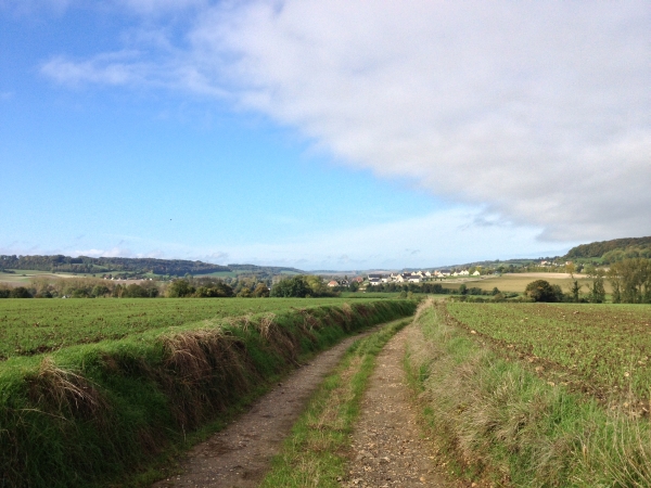 Le chemin de la Plaine d'Auberville nous descend vers Envermeu. Nous décidons de ne pas suivre le trottoir de la D920 pour entrer dans Envermeu, mais de traverser l'Eaulne pour passer par la Bouverie de St-Laurent.