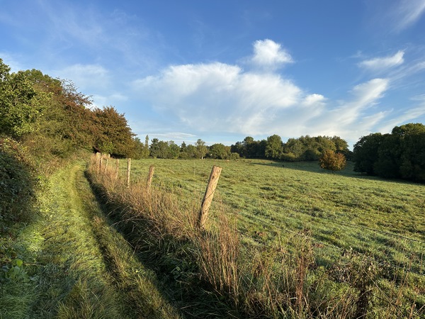 Les paysages alternent entre les bois et les près, illuminés par une belle lumière de fin d'été.