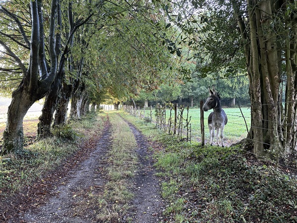 Nous traversons le hameau des Perrets.