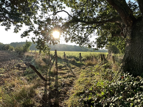 Nous tournons vers l'est sur le Chemin de la Roche, qui devient une rue au niveau du hameau de la Troquerie.
