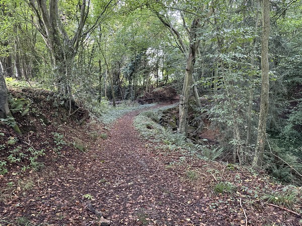 Même si la forêt du Vièvre a disparu, les coteaux qui bordent la vallée Legras sont restés très boisés.