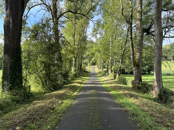 Nous traversons le ruisseau de la Croix Blanche à la Côte Poret.