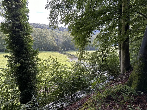 En remontant de l'autre côté, on peut voir le ruisseau. Son cours est alimenté par la source de la Fontaine de la Folie, à nos pieds.