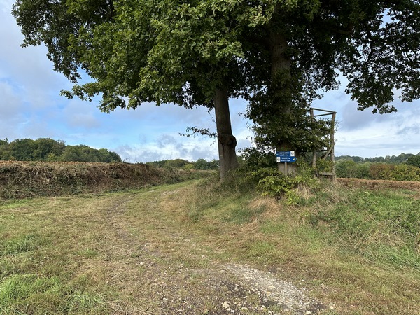Près de ce chêne, un arrêt permettait aux habitants de St-Grégoire-du-Vièvre de bénéficier du train.