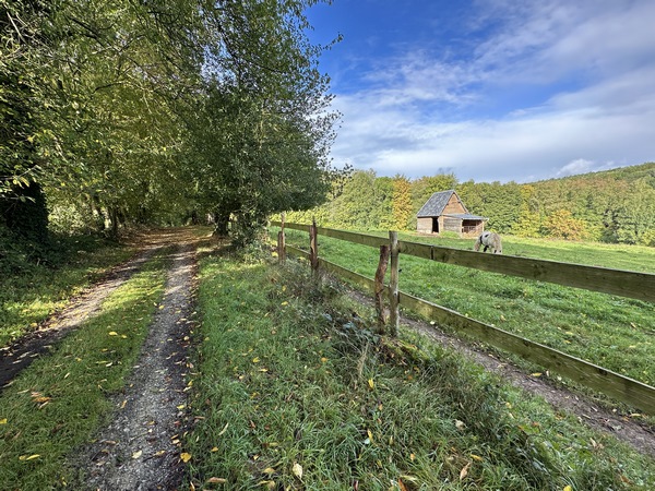 Nous montons vers St-Benoît-des-Ombres par le chemin Pottier.
