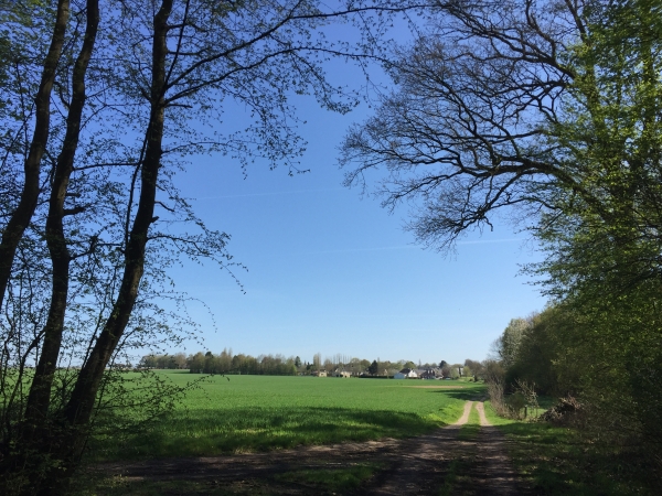 Sortie du Bois de Champs-de-Bataille.
