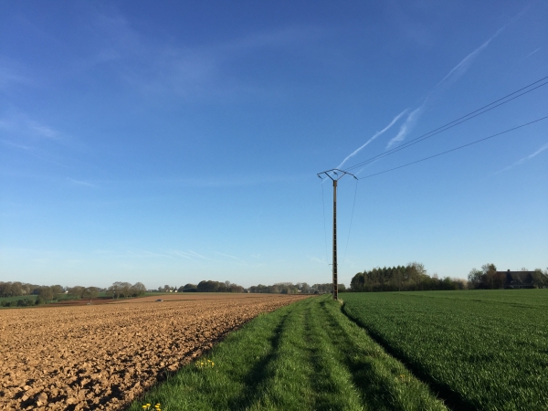 Chemin Vert en direction du Bois Robert.