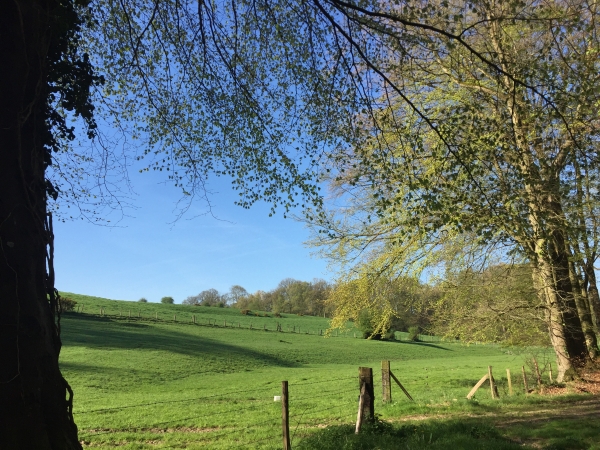 GR211B au Bout Enragé (Robertot).