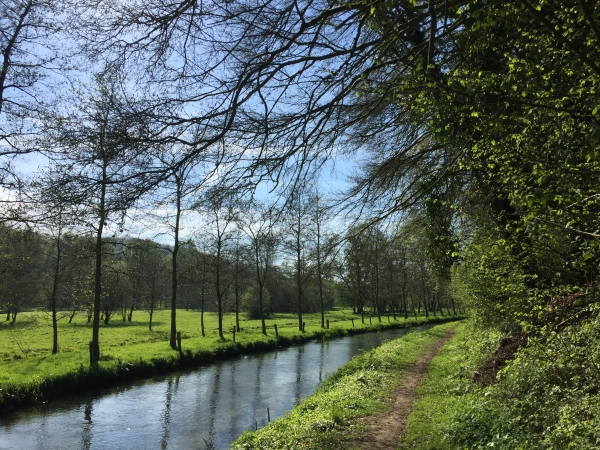 GR211 le long de la Durdent.