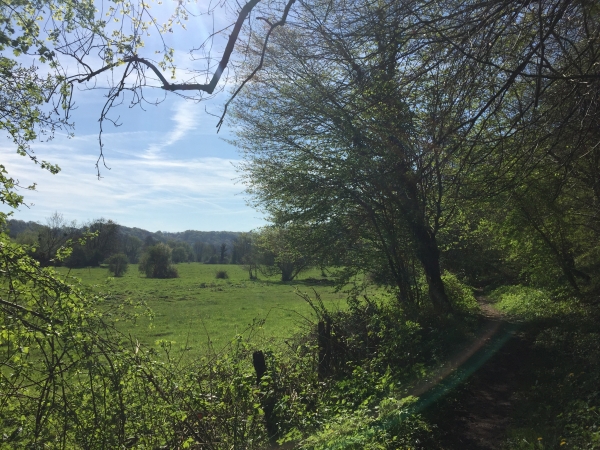 GR211 le long de la Durdent.