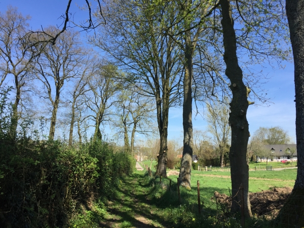 Harcanville, chemin de la Mare aux Loups.