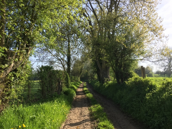 Chemin du Brimbec.