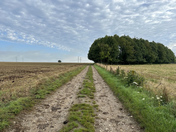Le Chemin des Fées est une ancienne voie romaine qui reliait Rouen à Arques. Les voies romaines étaient souvent nommées chemin des fées, en raison d'une tradition qui, bien avant l'arrivée des romains, désignait des lignes droites qui reliaient des lieux de signification particulière tels que des vestiges de l'âge de pierre, des cours d'eau...