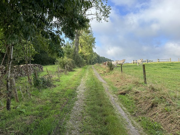Le GR210 suit d'agréables chemins le long de la voie ferrée Rouen-Dieppe (Malaunay Le Houlme - Dieppe).